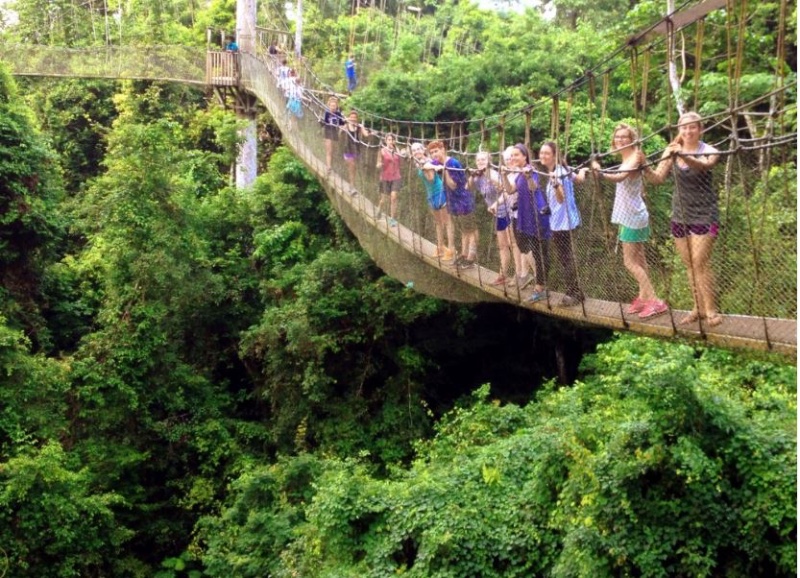 Into the Wild: Experiencing the Biodiversity of Kakum National Park